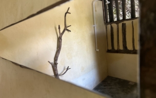 Mirrow in shower in budget rooms made with natural materials in Kwa Simba accommodation in Pangani, Tanzania Africa.