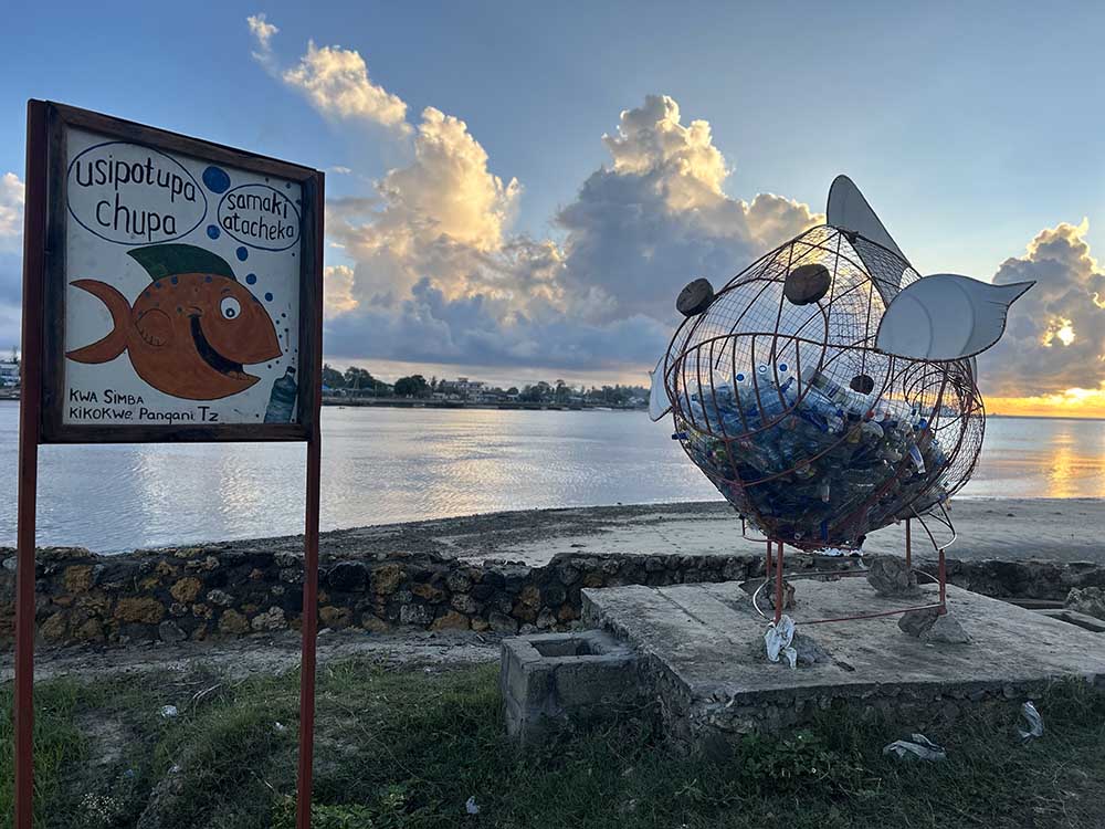Artistic hollow Fish filled with plastic bottles at Pangani river beach clean up bottle project at sun set Pangani, Tanzania, Africa